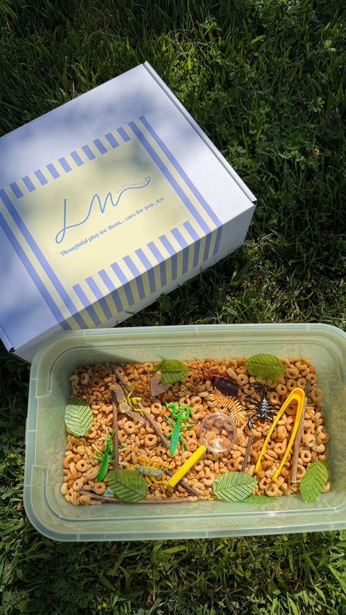 Little Moments: Backyard Garden Bug Box 🐞