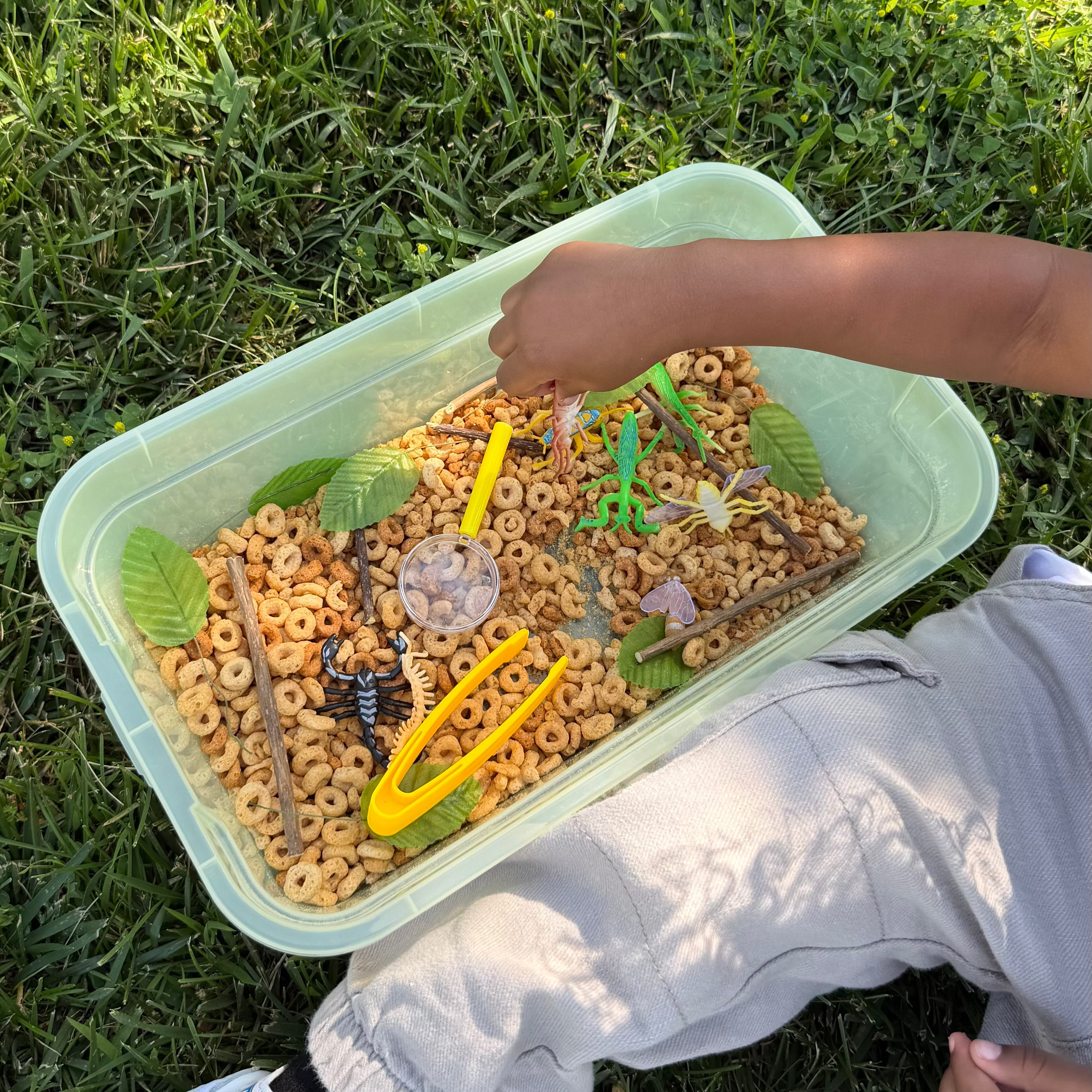 Little Moments: Backyard Garden Bug Box 🐞