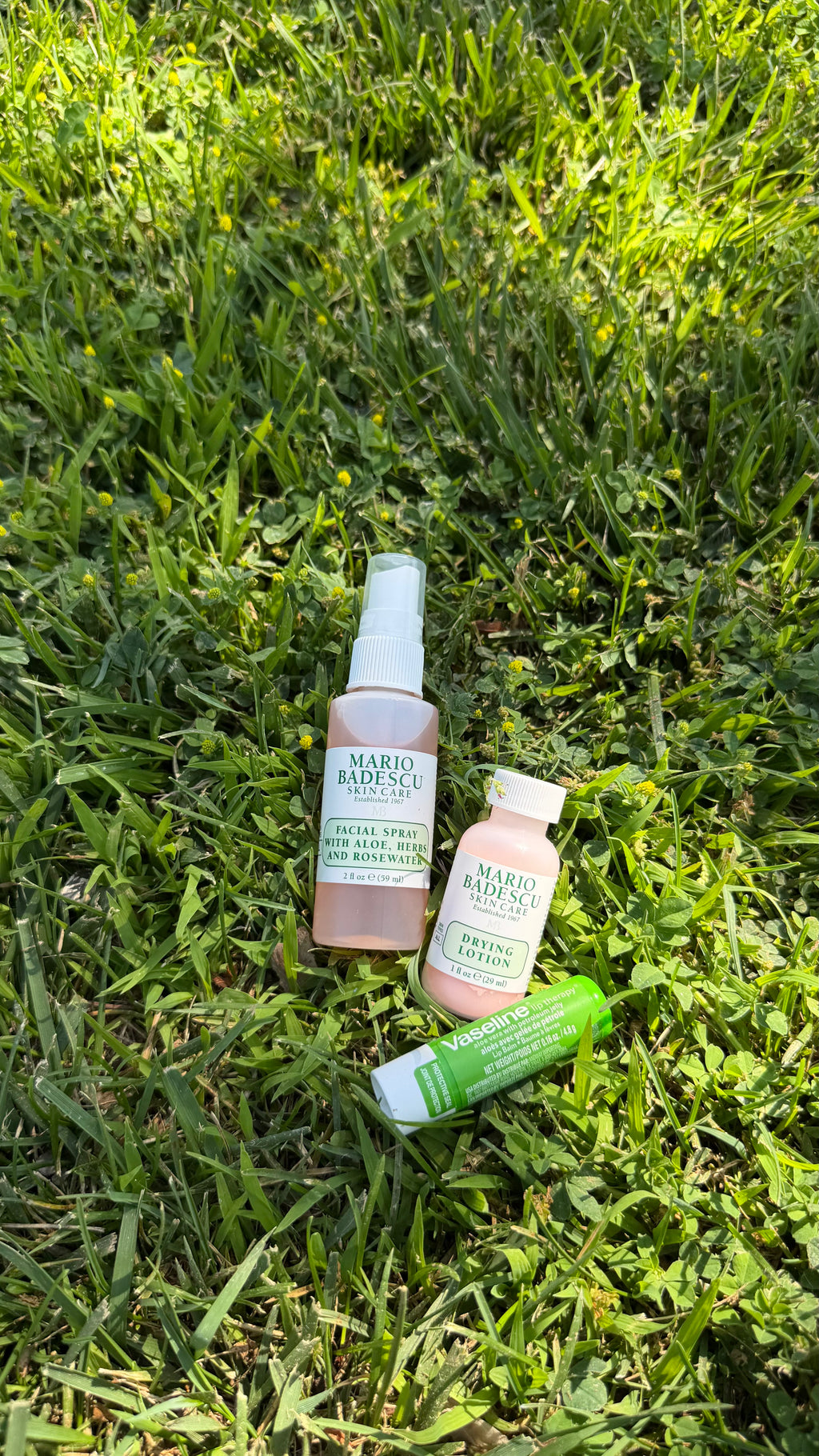 Little Moments: Backyard Garden Bug Box 🐞