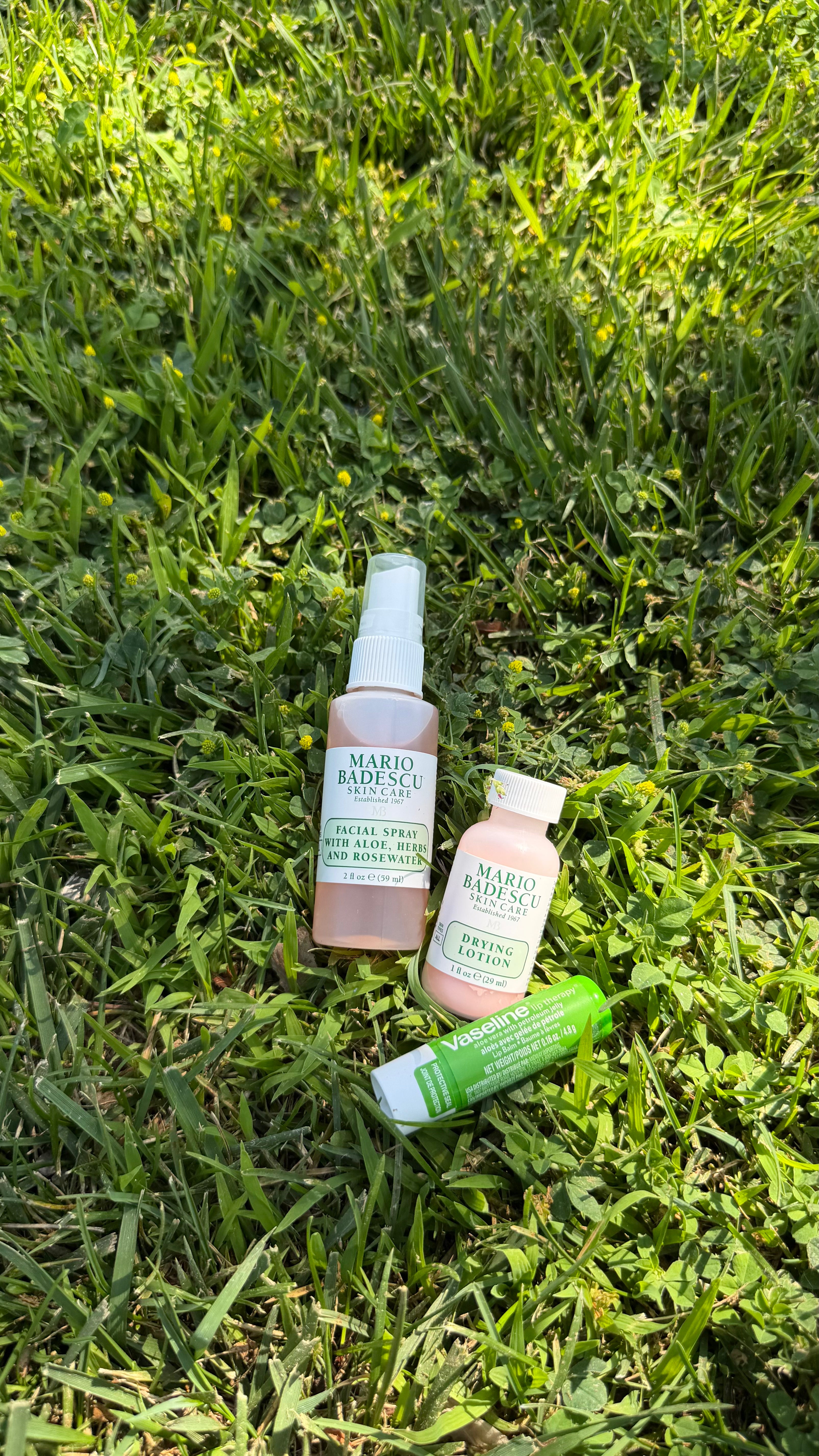 Little Moments: Backyard Garden Bug Box 🐞