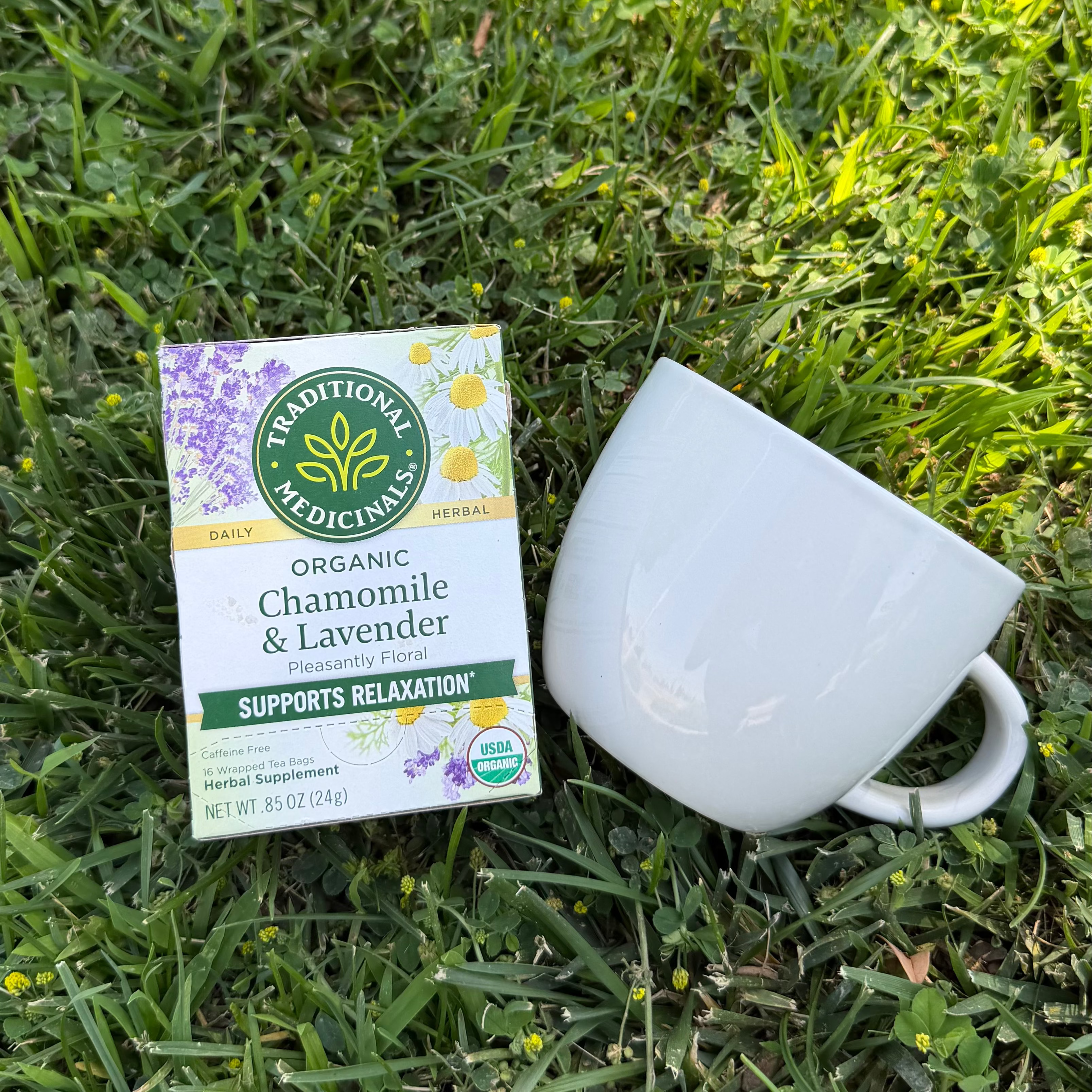 Little Moments: Backyard Garden Bug Box 🐞
